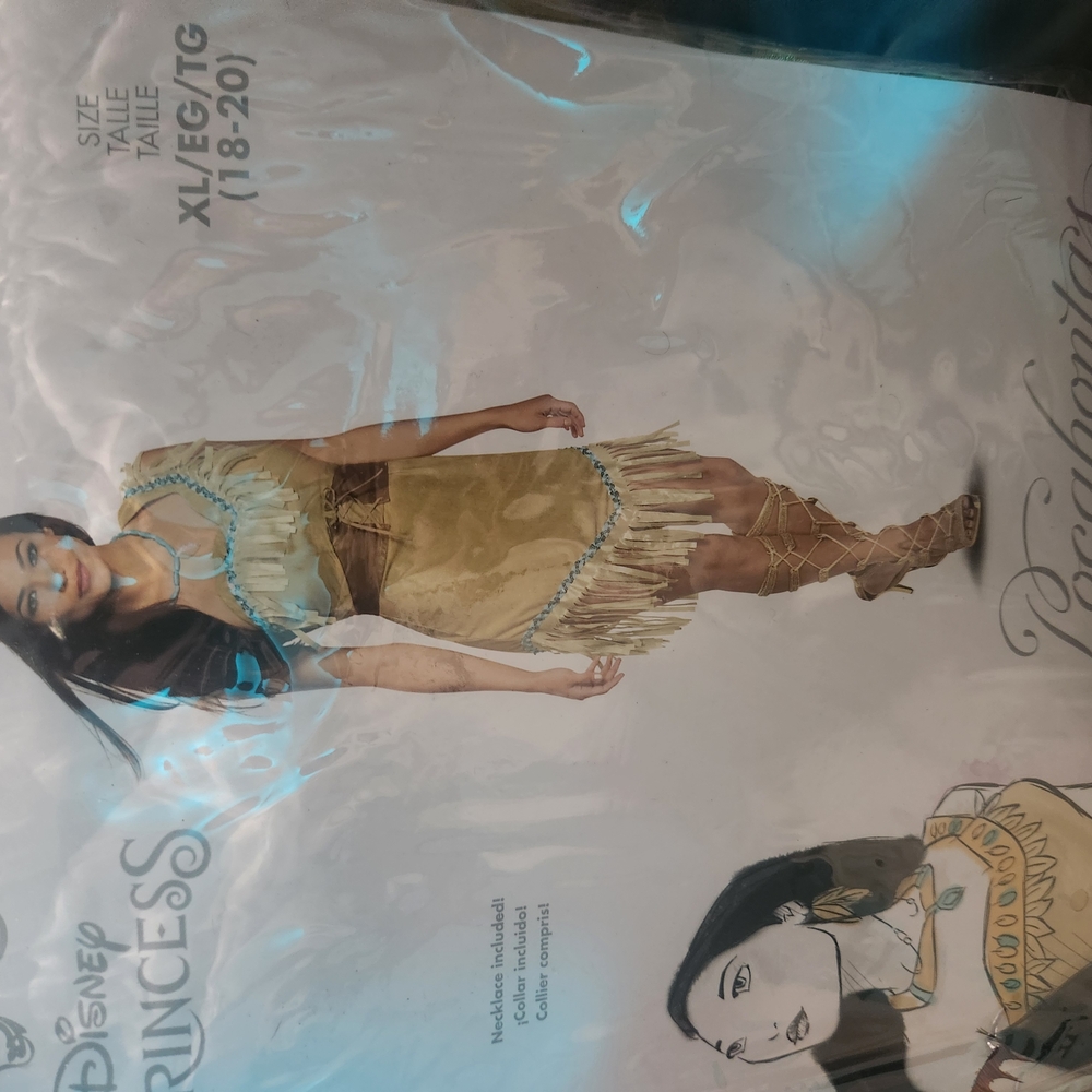 Disney Princess Pocahontas Costume XL. Brand New, Never Worn, Still In Packages.